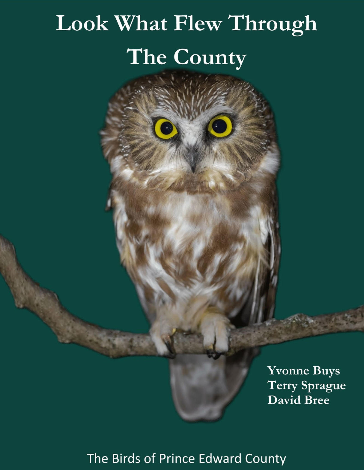 Look What Flew Through the County, The Birds of Prince Edward County