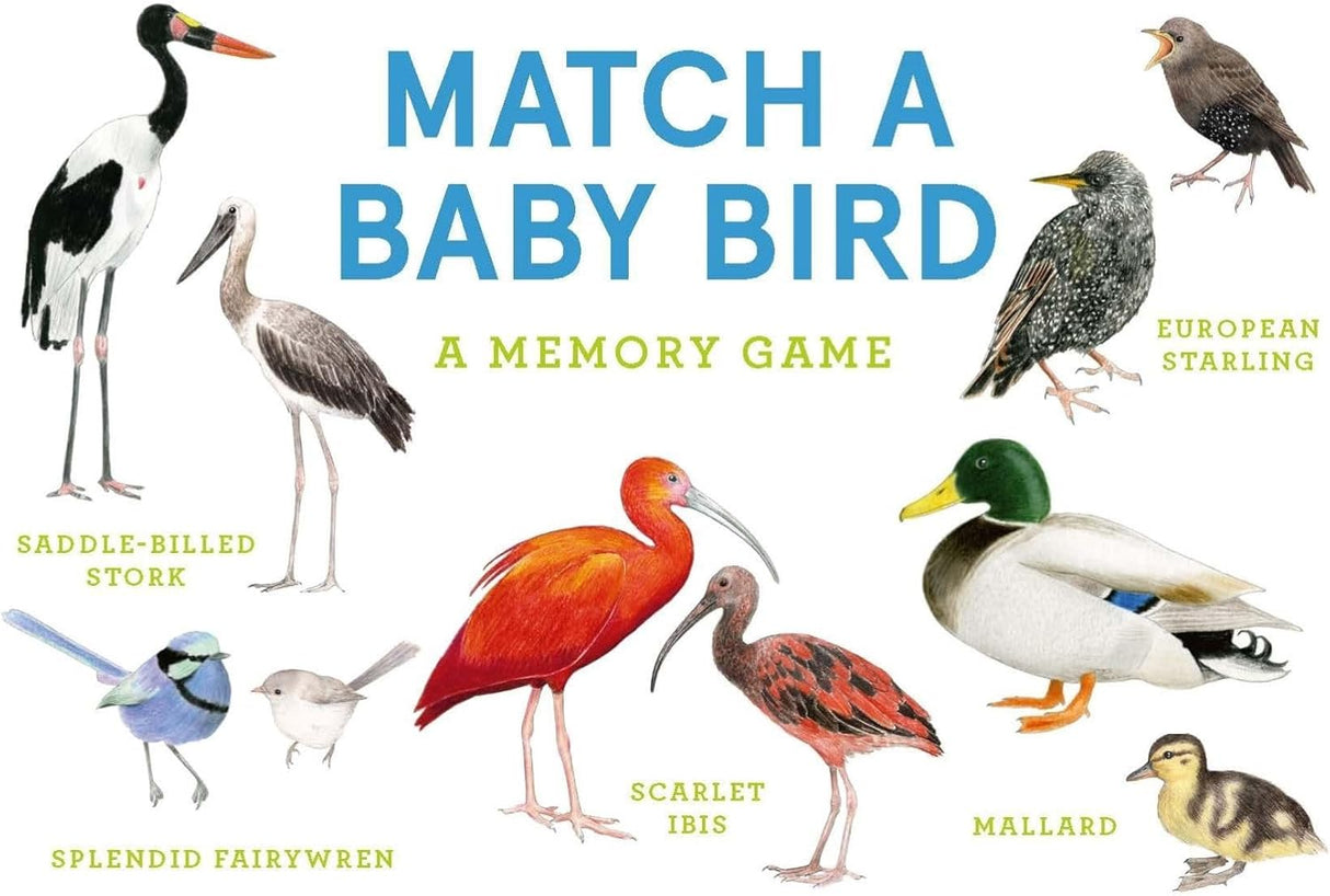 Match a Baby Bird, A Memory Game