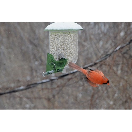 Nature Expert Unique Cardinal Feeder