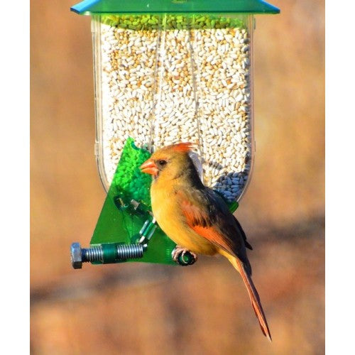 Nature Expert Unique Cardinal Feeder