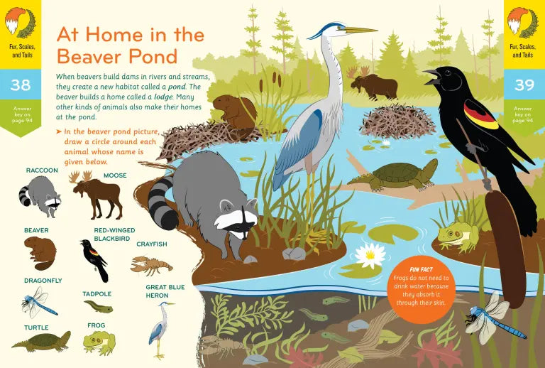 Nature Smarts Workbook, Ages 4–6