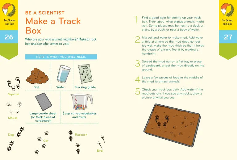 Nature Smarts Workbook, Ages 4–6