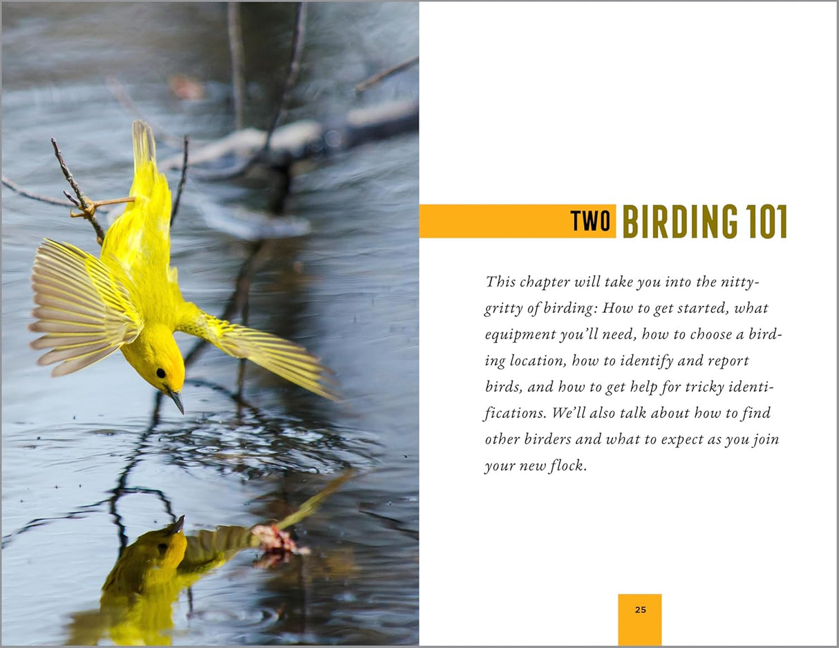 North American Bird Watching for Beginners