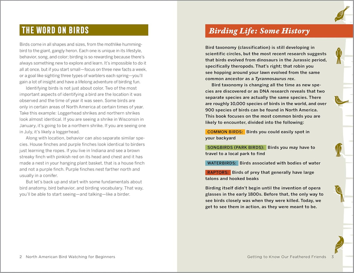 North American Bird Watching for Beginners