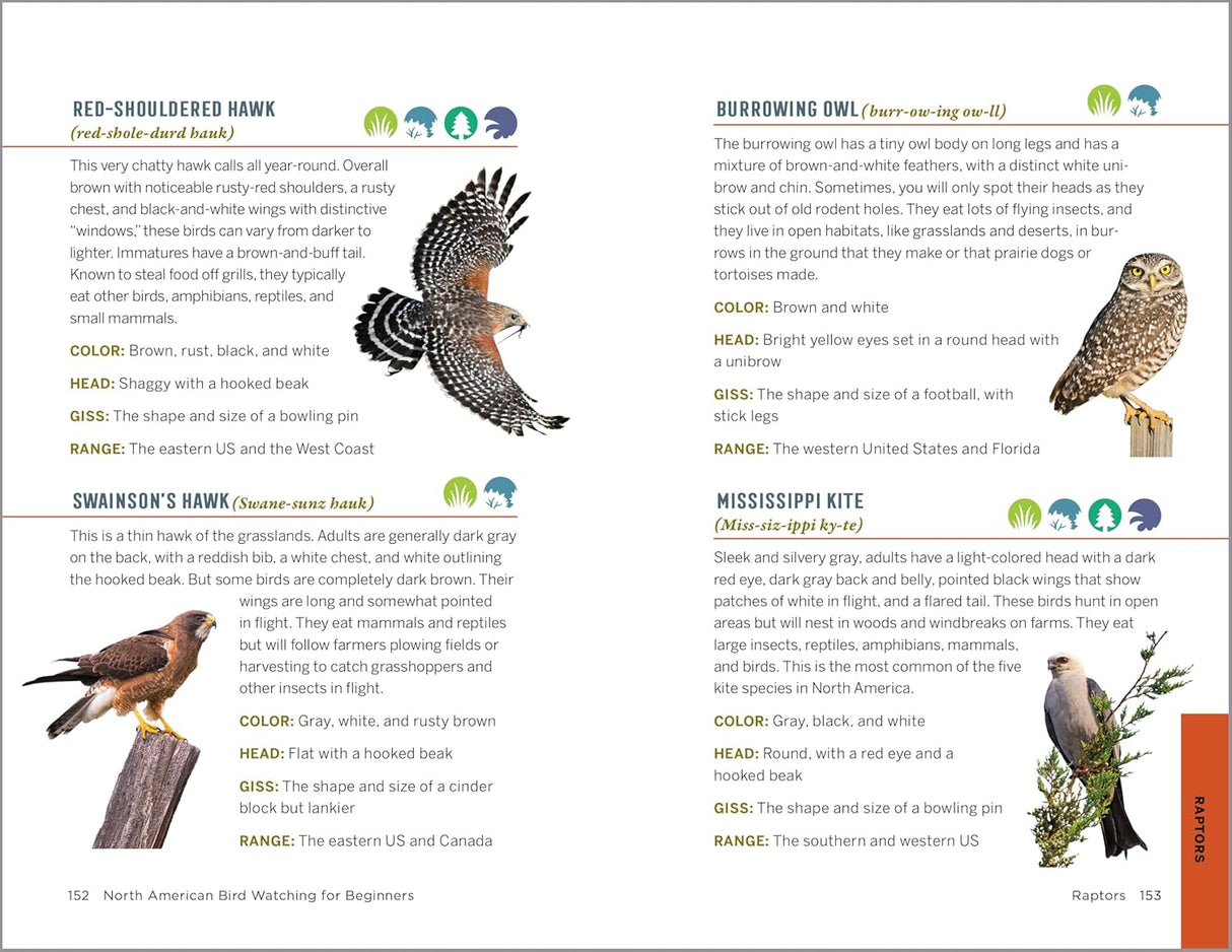 North American Bird Watching for Beginners