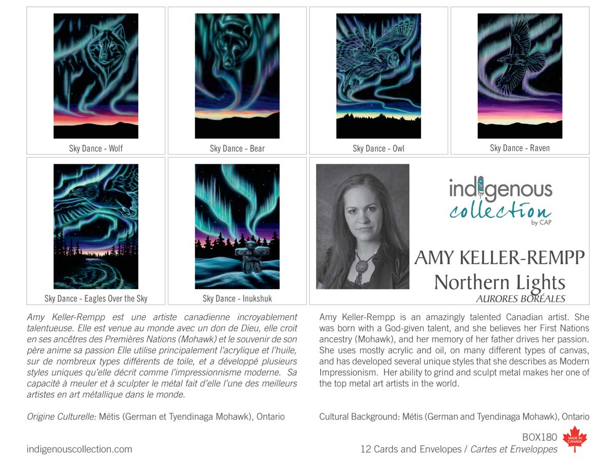 Northern Lights Boxed Note Cards