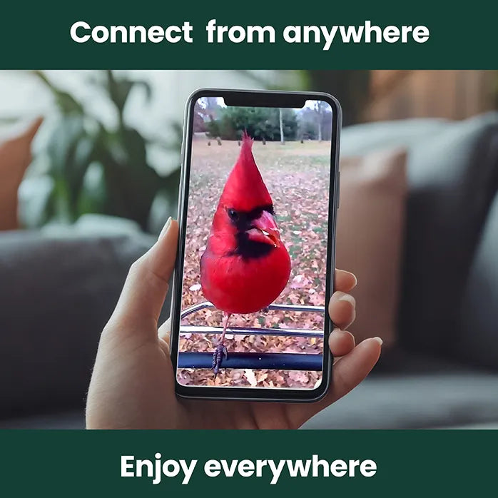 Perky-Pet Smart Camera Squirrel-Resistant Bird Feeder