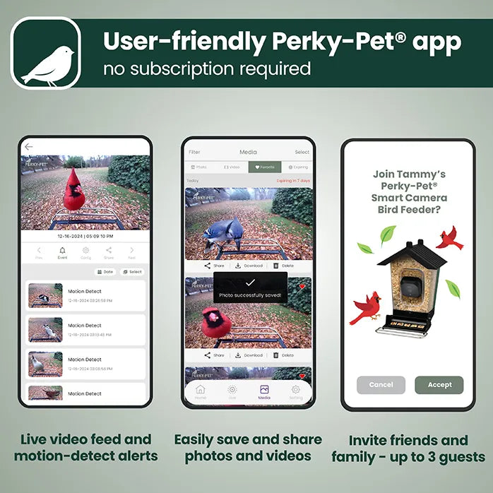 Perky-Pet Smart Camera Squirrel-Resistant Bird Feeder