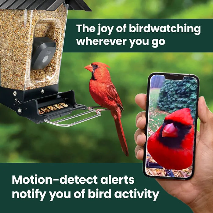Perky-Pet Smart Camera Squirrel-Resistant Bird Feeder