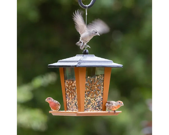 Perky-Pet Sun and Star Lantern Wild Bird Feeder