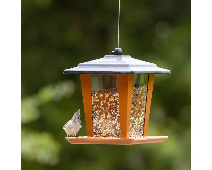 Perky-Pet Sun and Star Lantern Wild Bird Feeder