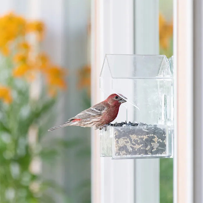 Perky Pet Window Feeder