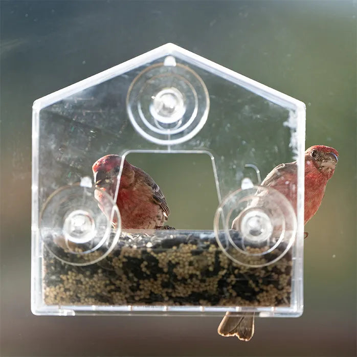 Perky Pet Window Feeder
