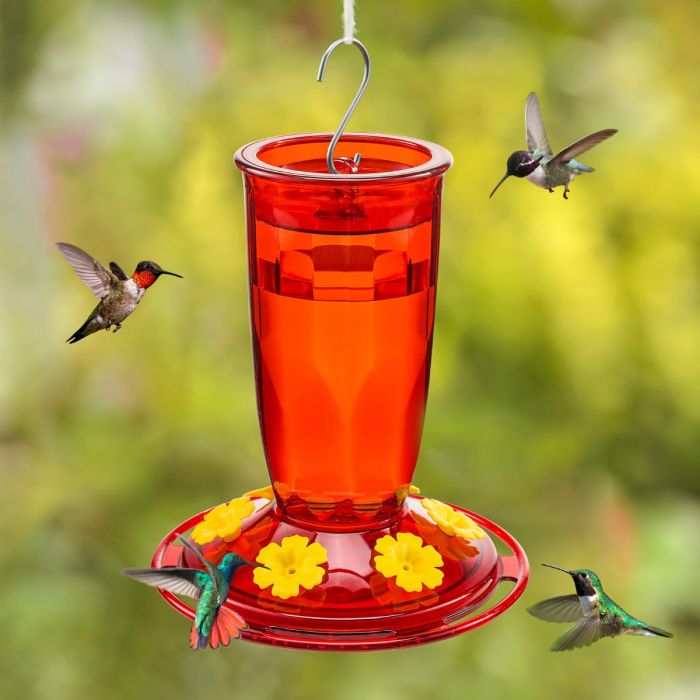 Plastic Hummingbird Feeder with Bee & Ant Proof, 16oz, Red