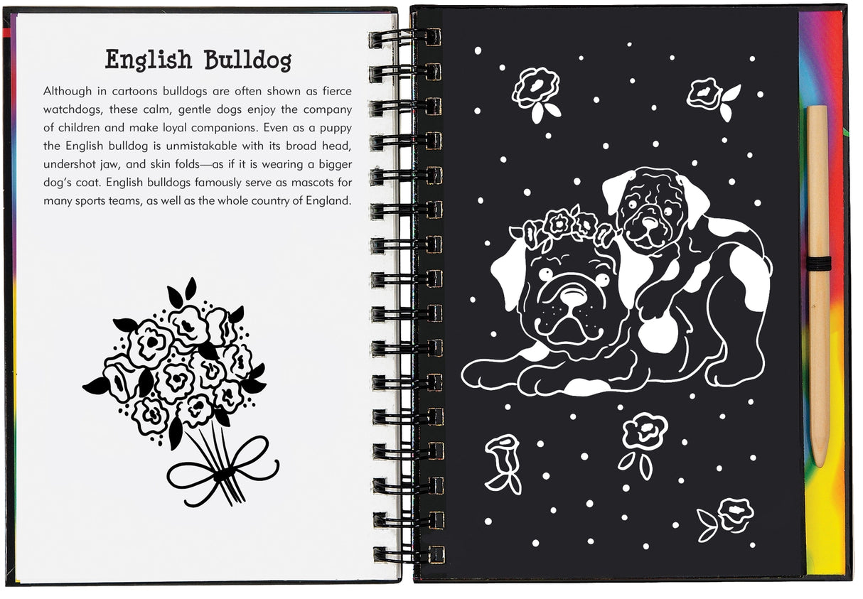 Puppies Scratch and Sketch