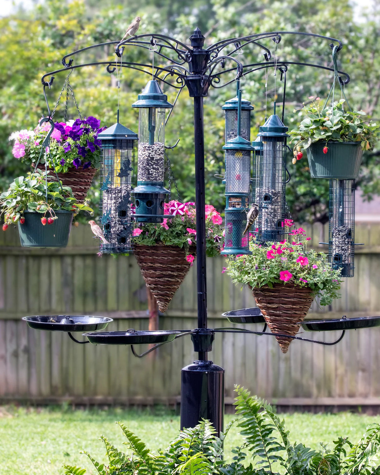 Raccoon Buster Tray Kit