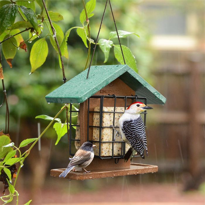 Recycled Plastic Double Suet Bird Feeder With Green Roof