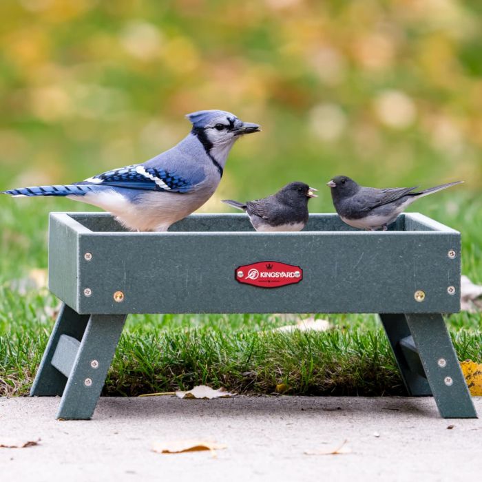 Recycled Plastic Ground Feeder, Green