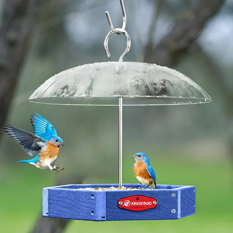 Recycled Plastic Platform Bird Feeder with Adjustable Dome, Blue