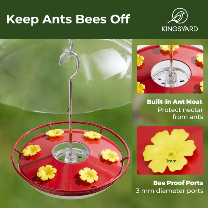 Red Hummingbird Tray Feeder with Clear Weatherproof Dome & Ant Moat