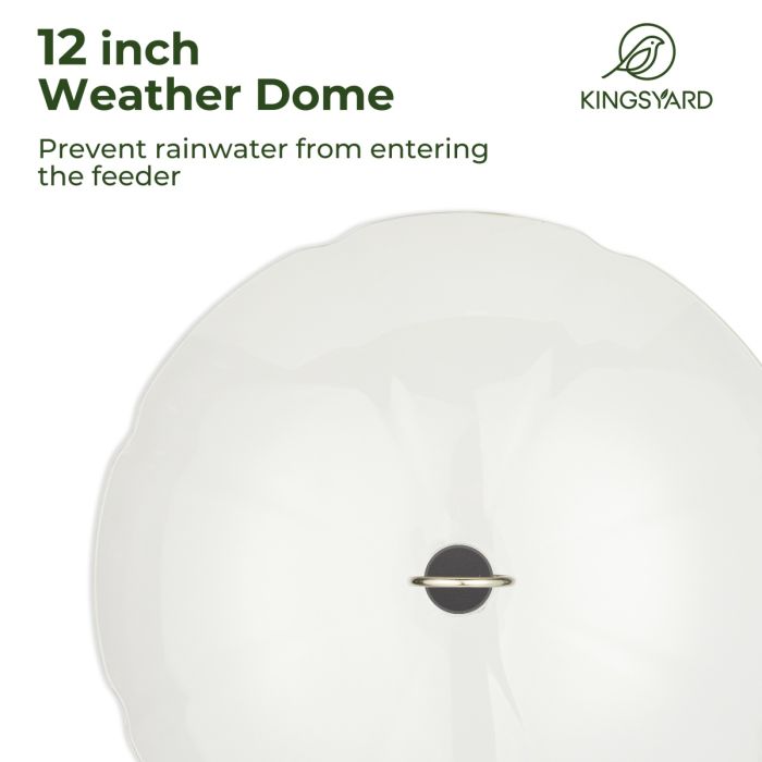 Red Hummingbird Tray Feeder with Clear Weatherproof Dome & Ant Moat