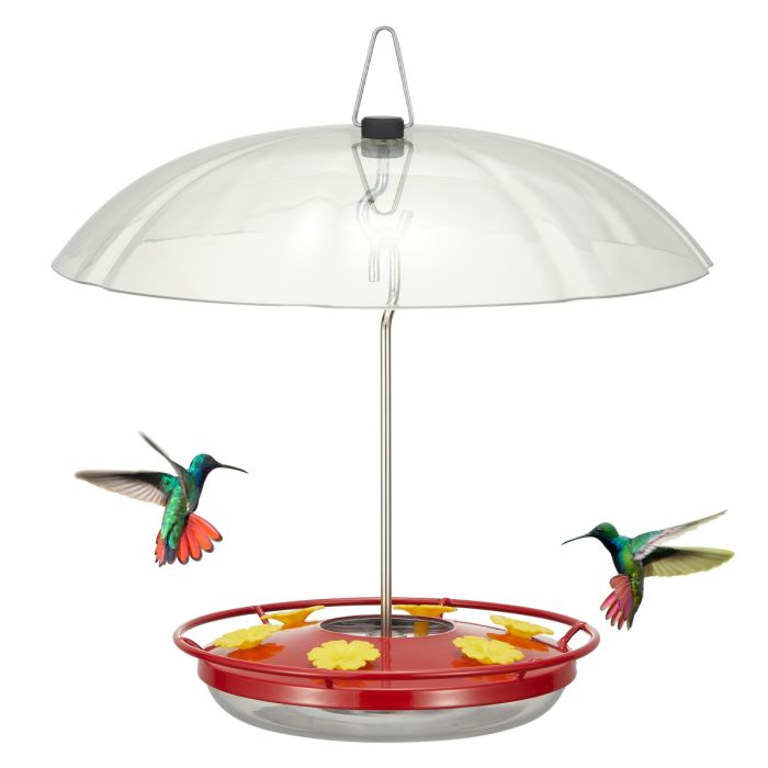 Red Hummingbird Tray Feeder with Clear Weatherproof Dome & Ant Moat