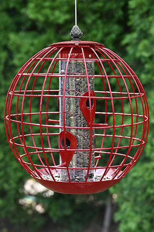 Round Squirrel Resistant Cage Seed Feeder