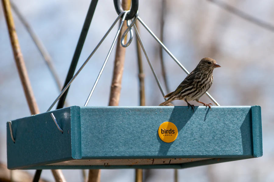 Small Hanging Platform Bird Feeder in Blue Recycled Plastic