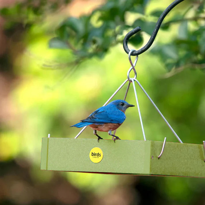 Small Hanging Platform Bird Feeder in Fern Green Recycled Plastic