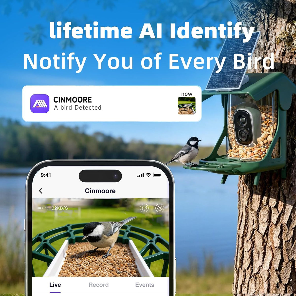 Smart Bird Camera Feeder With Birds Species Identification