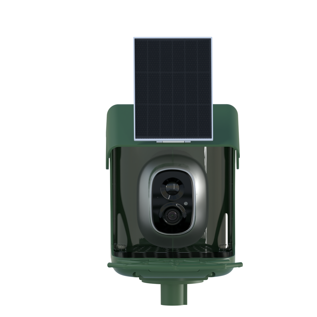 Smart Bird Camera Feeder With Birds Species Identification