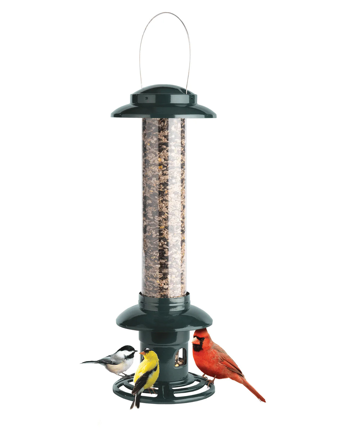 Squirrel Buster Evolution