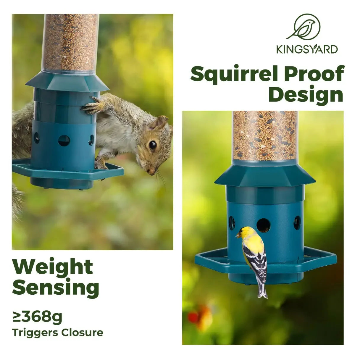 Squirrel Proof Weight Sensing Hanging Tube Bird Feeder, Green