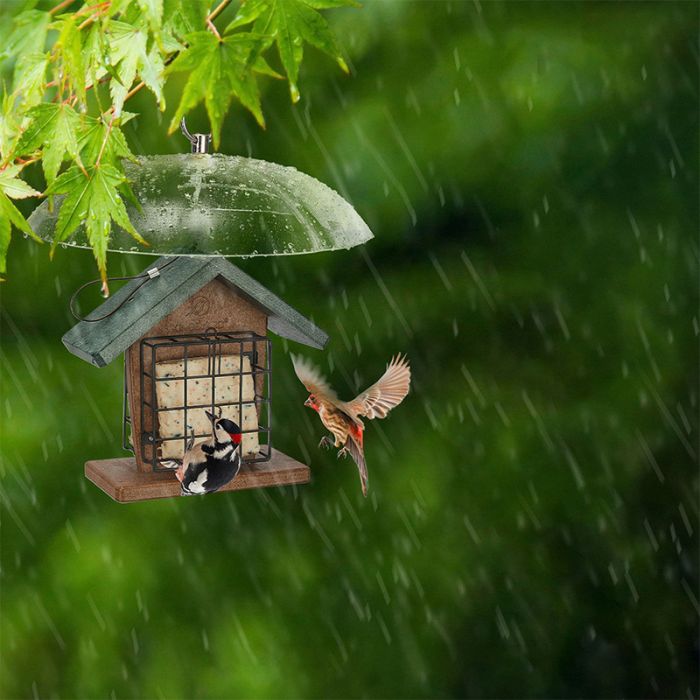 Squirrel & Weather Guard Dome, Clear