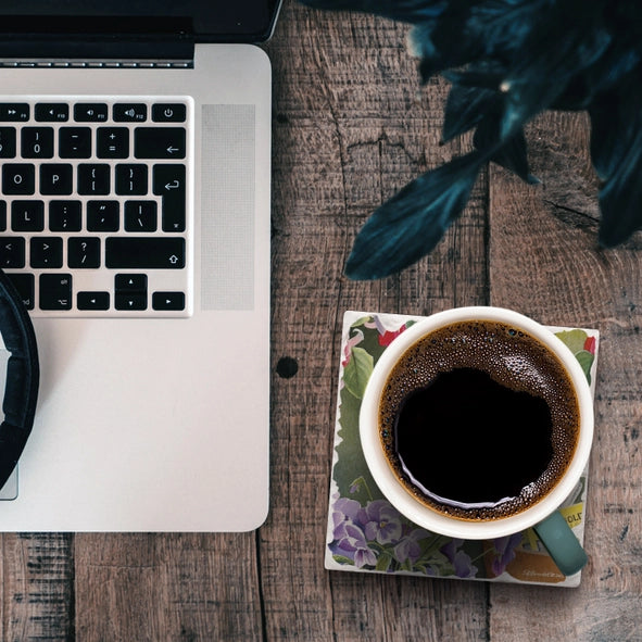 Take Flight 5 Single Absorbent Stone Tumbled Tile Coaster