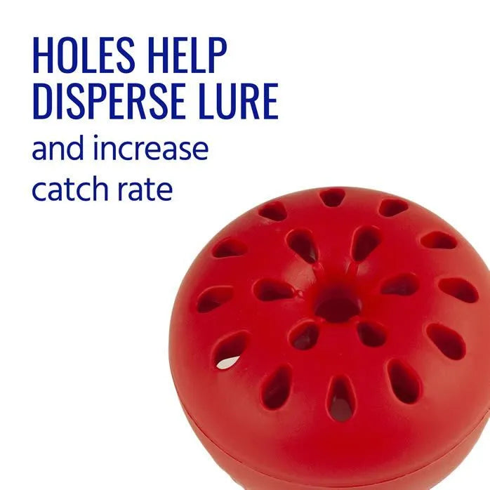 Terro Fruit Fly Trap