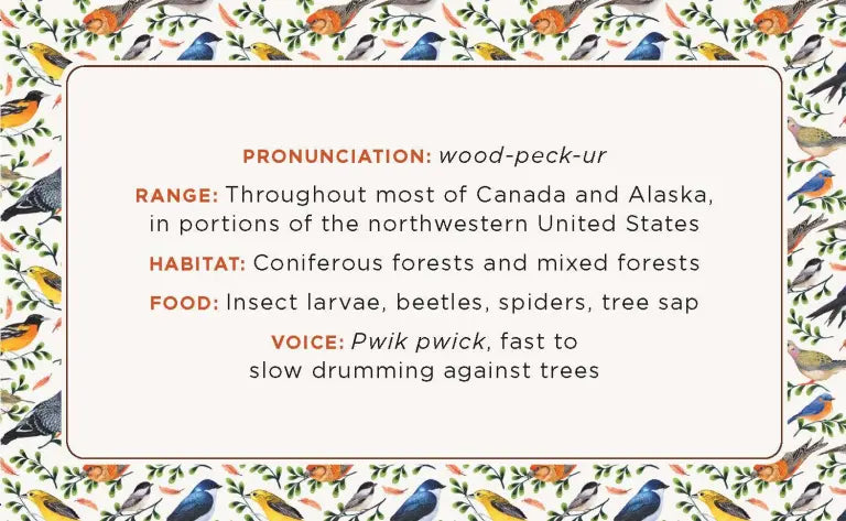 The Beginner Birder’s Deck