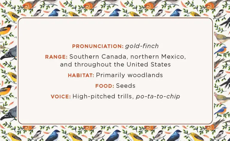 The Beginner Birder’s Deck