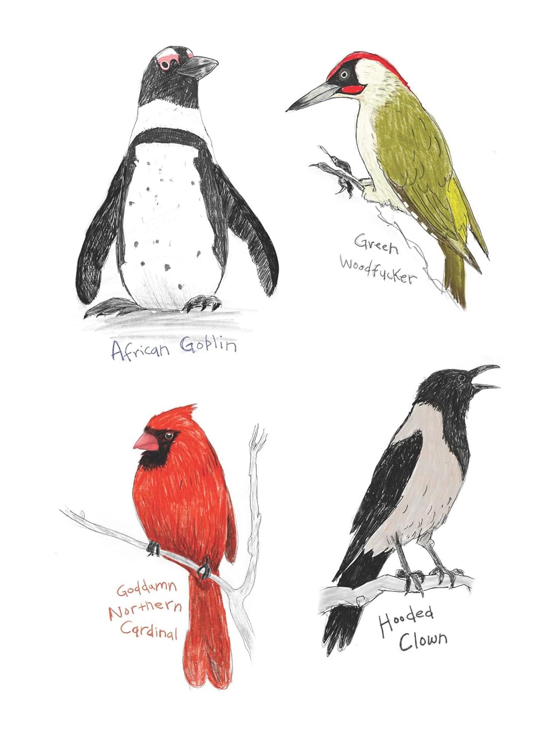 The Field Guide to Dumb Birds Sticker Book