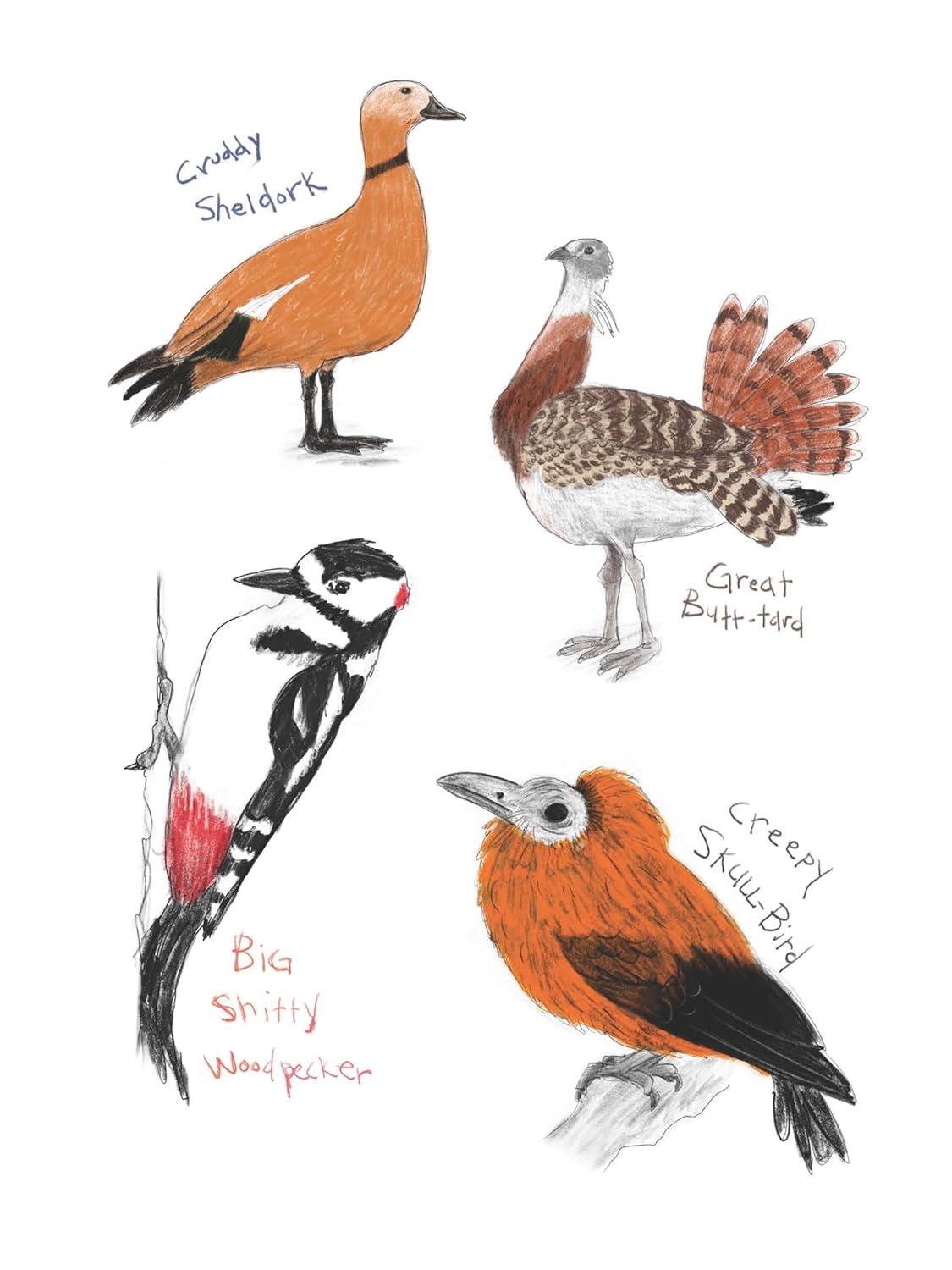 The Field Guide to Dumb Birds Sticker Book