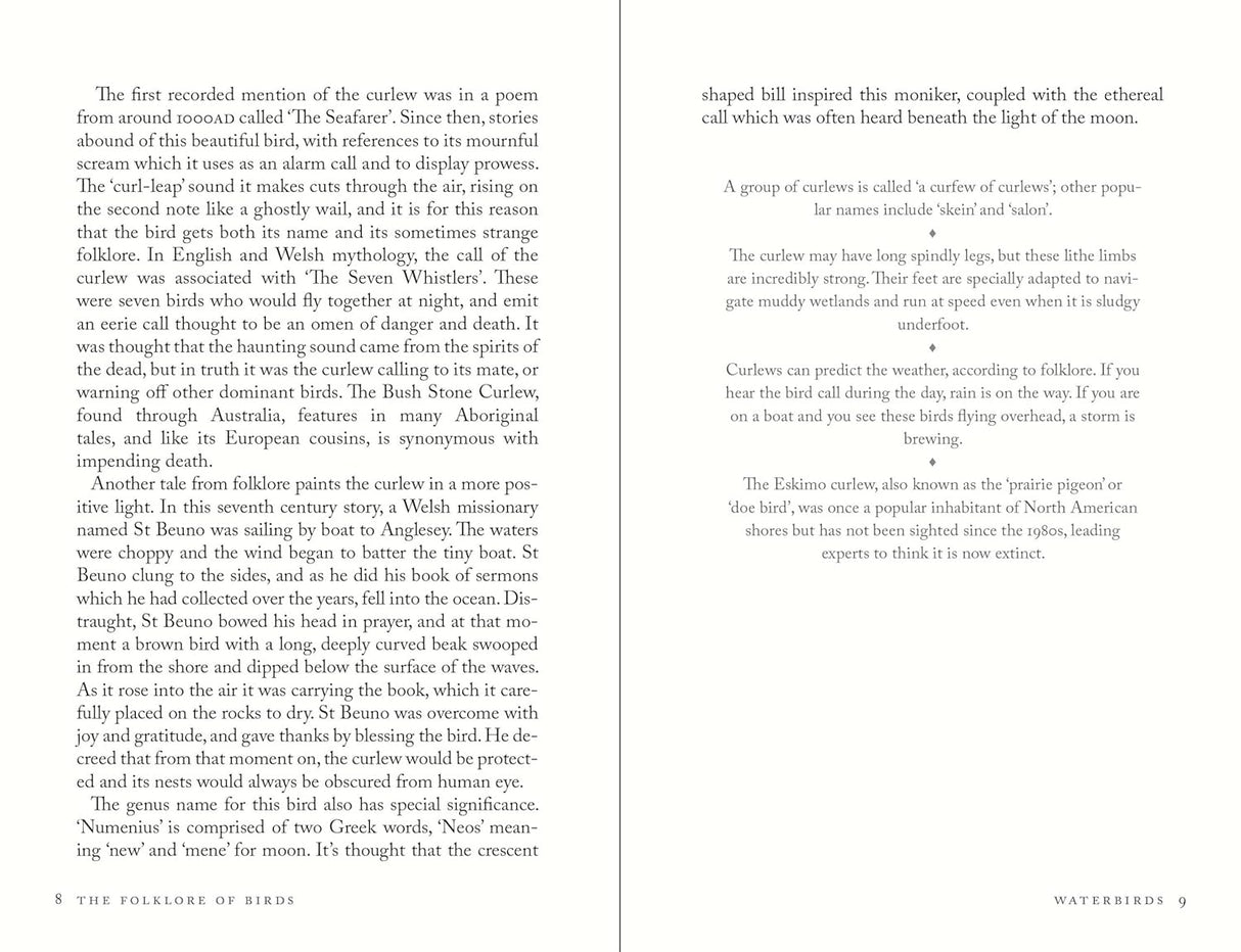 The Folklore of Birds