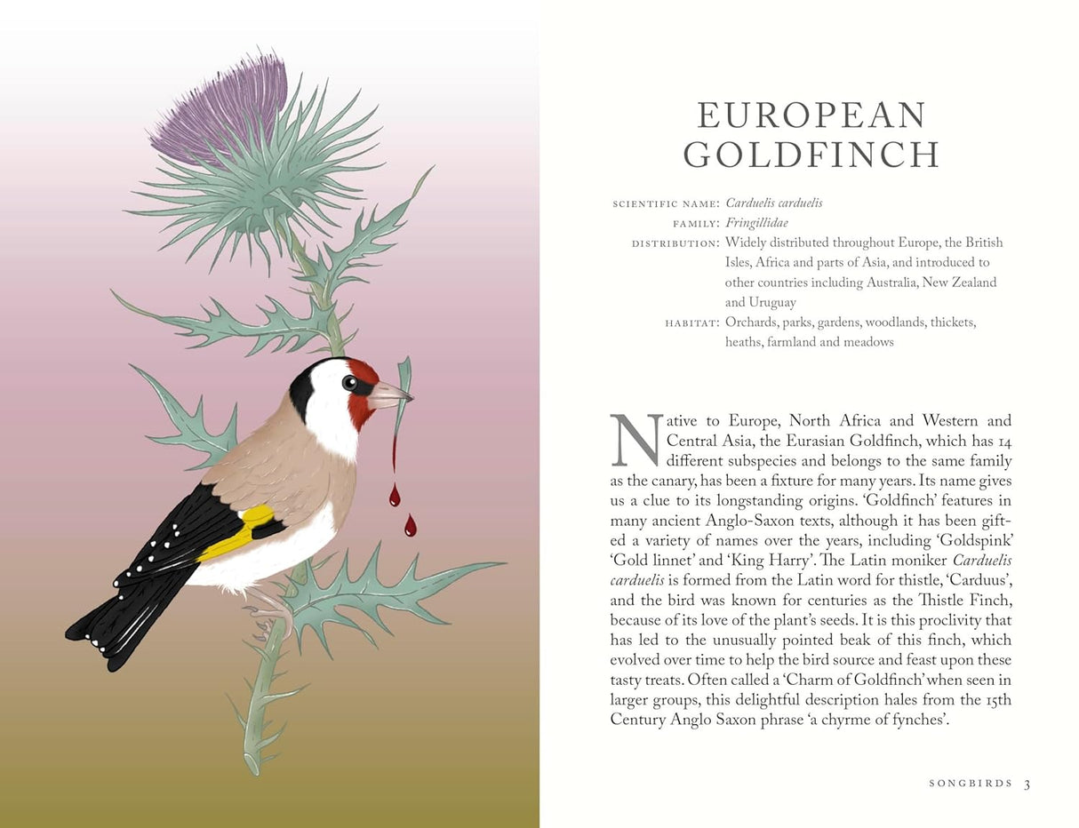 The Folklore of Birds