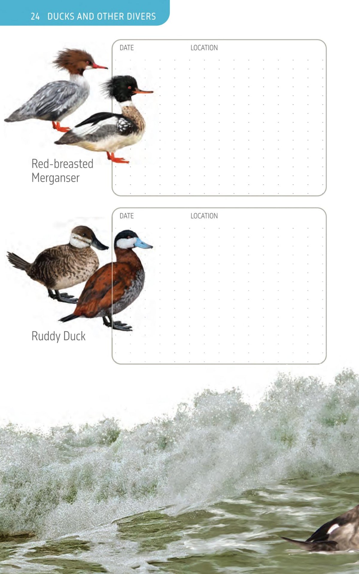 The Ontario Birding Journal and Checklist