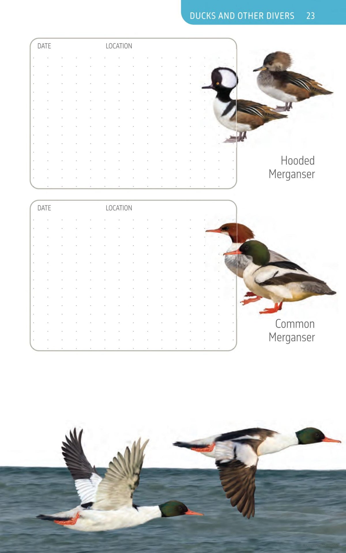 The Ontario Birding Journal and Checklist