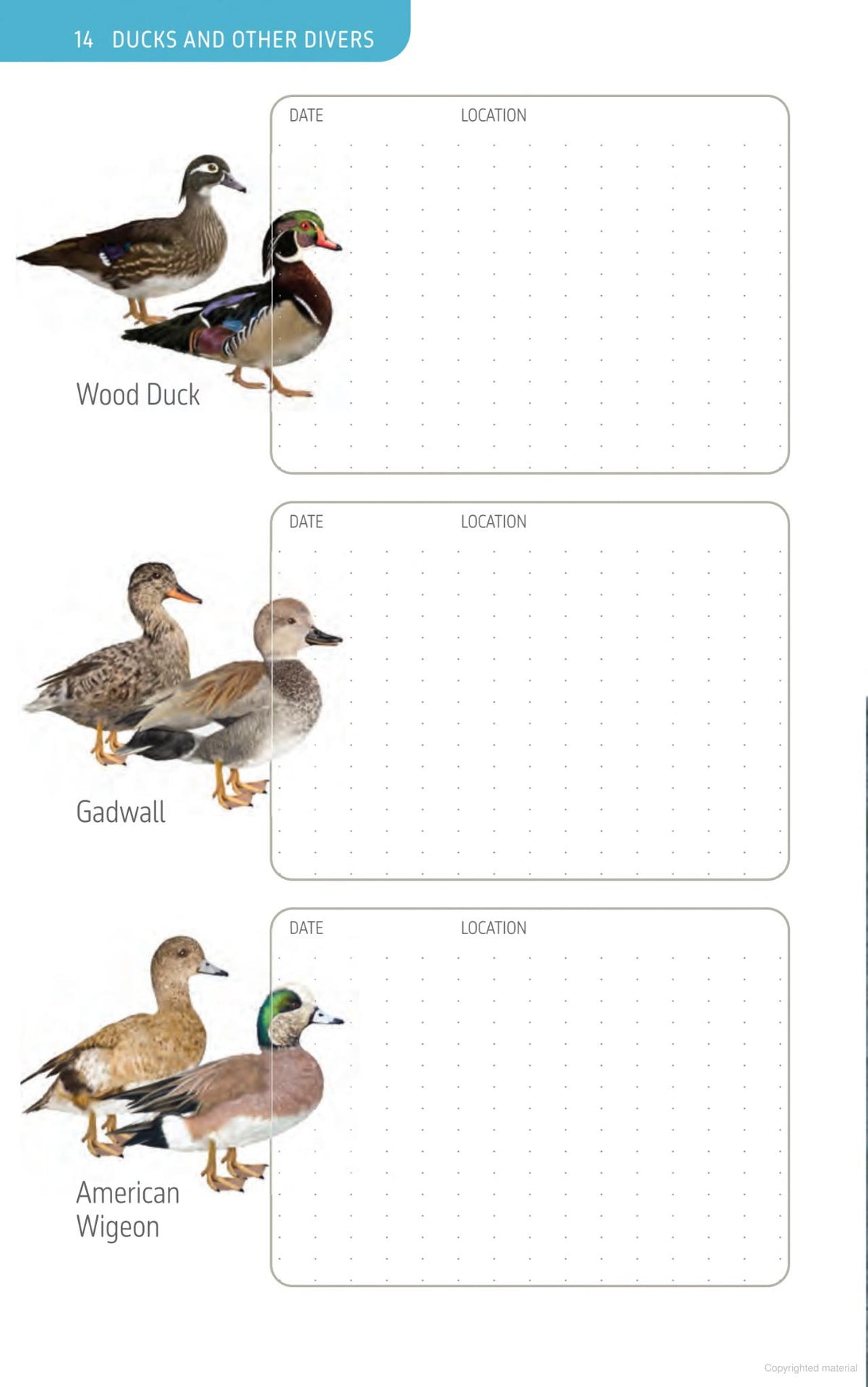 The Ontario Birding Journal and Checklist