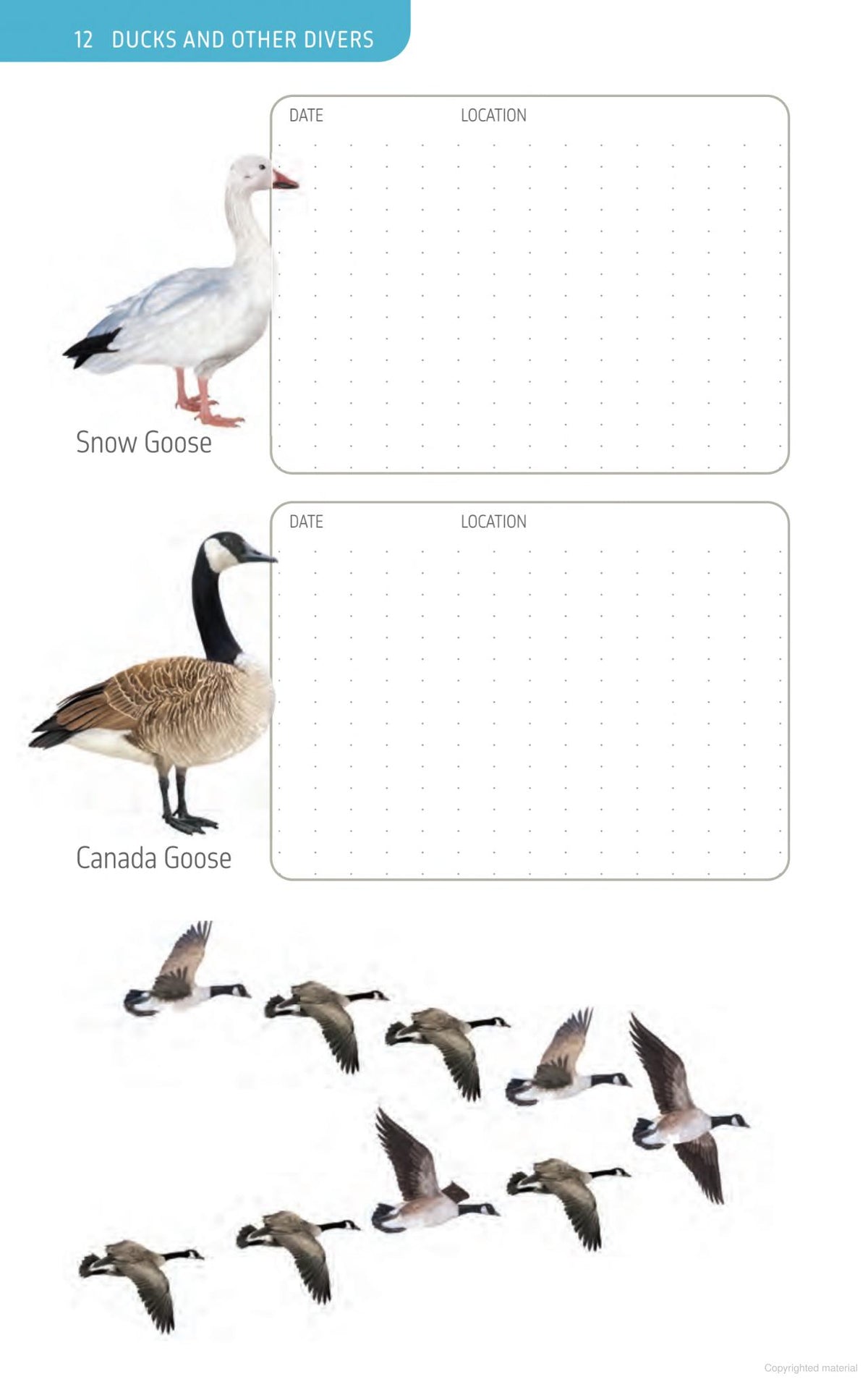 The Ontario Birding Journal and Checklist