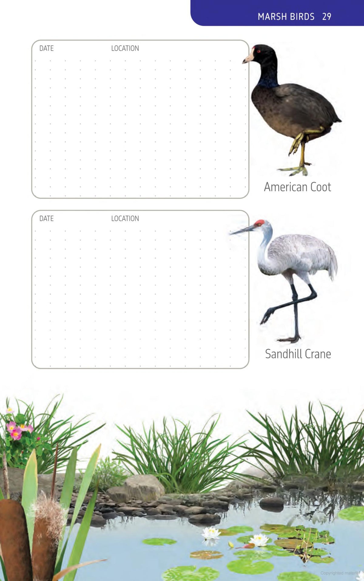 The Ontario Birding Journal and Checklist