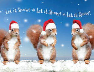 Three Squirrels Wearing Santa Hats Christmas Boxed Notelets