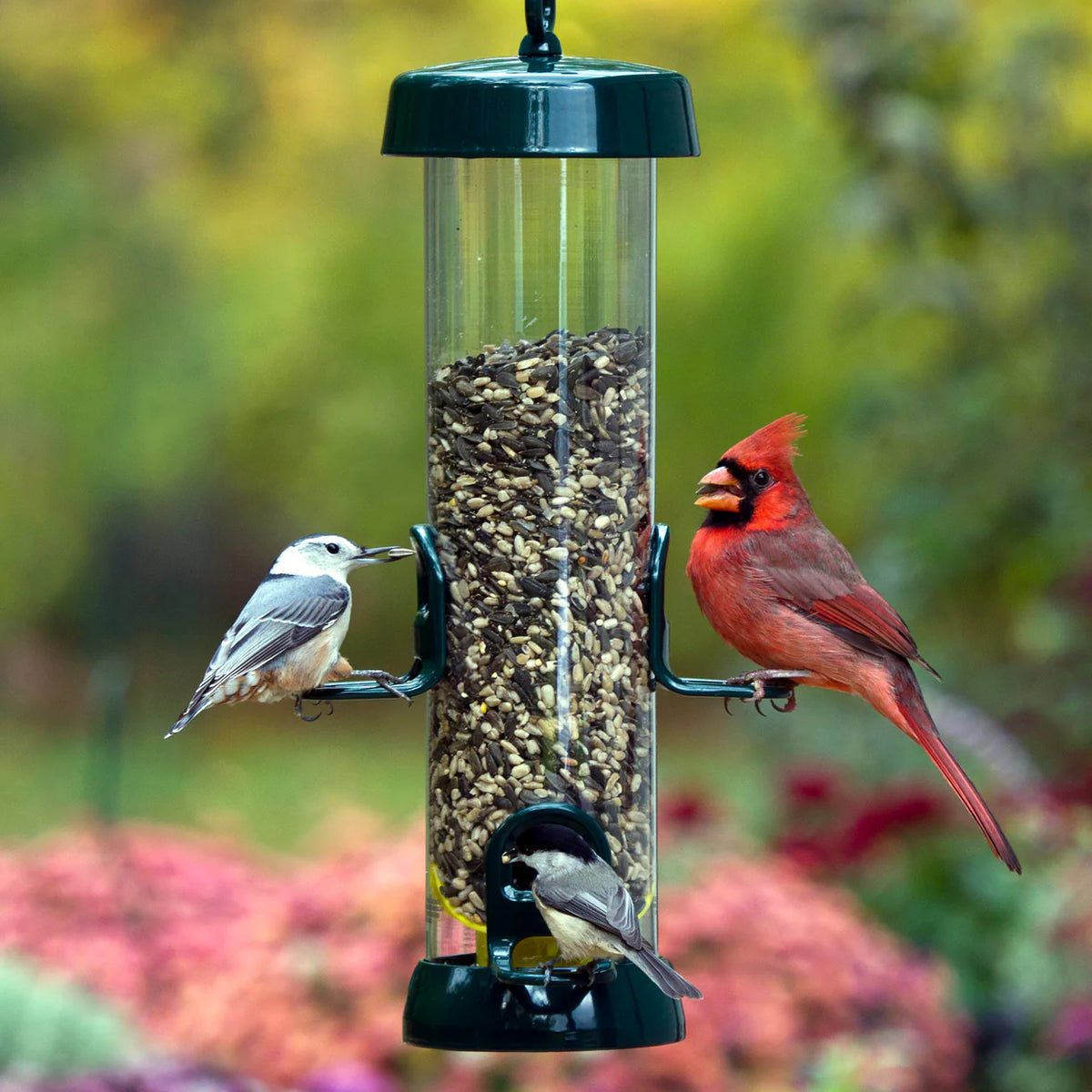 Image showcasing Tube Solution 150 Bird Feeder – Urban Nature Store