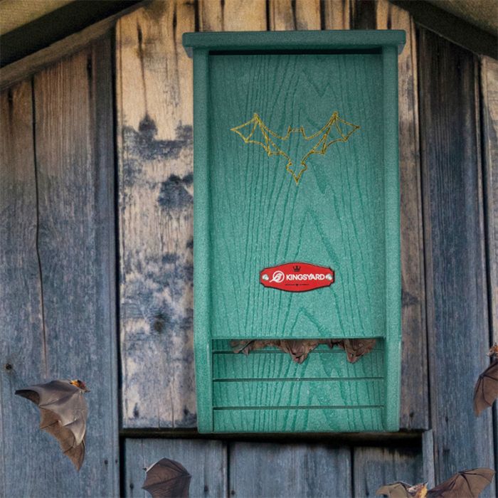 Unique Design Bat House, Green